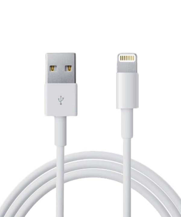 Generic Lightning Cable (1m)