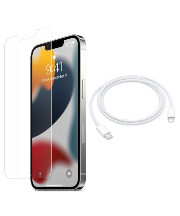 Bronze Genuine Accessories Bundle - USB C - Lightning